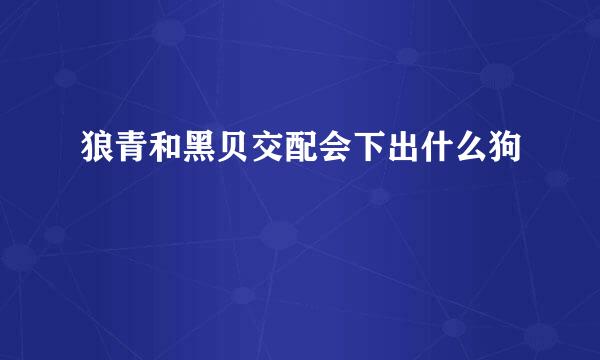 狼青和黑贝交配会下出什么狗