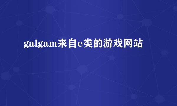 galgam来自e类的游戏网站