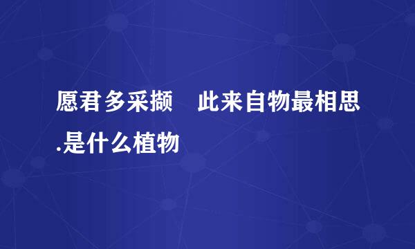 愿君多采撷 此来自物最相思.是什么植物