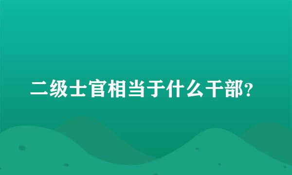 二级士官相当于什么干部？