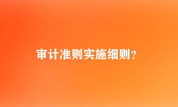 审计准则实施细则？