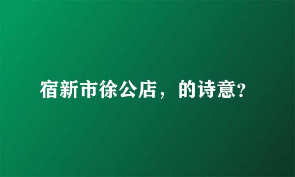 宿新市徐公店，的诗意？