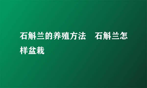 石斛兰的养殖方法 石斛兰怎样盆栽