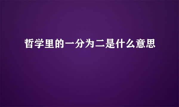 哲学里的一分为二是什么意思