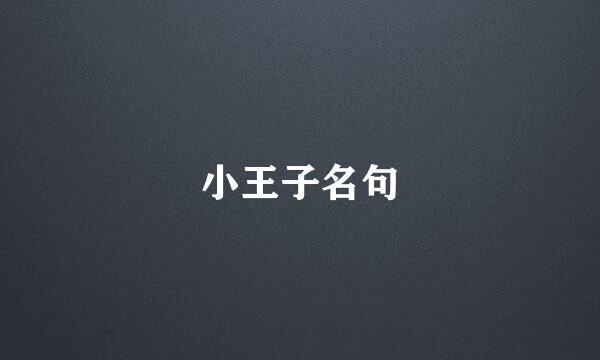 小王子名句