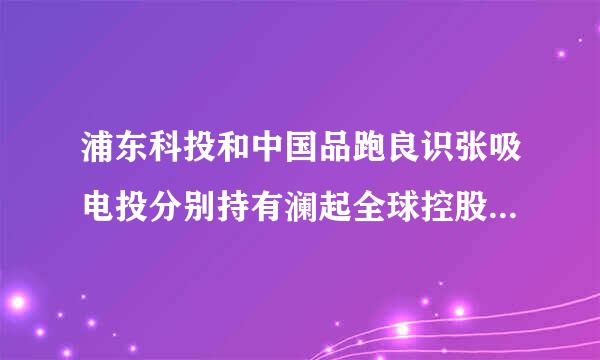 浦东科投和中国品跑良识张吸电投分别持有澜起全球控股多少股份