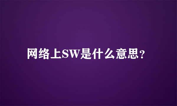 网络上SW是什么意思？