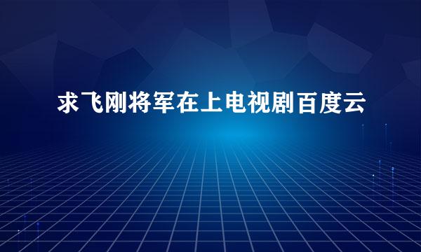 求飞刚将军在上电视剧百度云