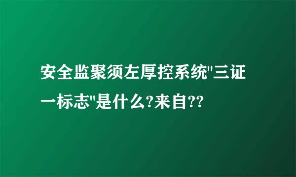 安全监聚须左厚控系统