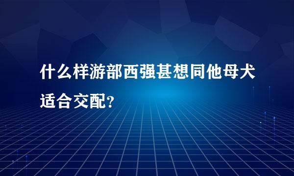 什么样游部西强甚想同他母犬适合交配？