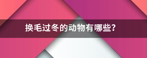 换毛过冬的动物有哪些？