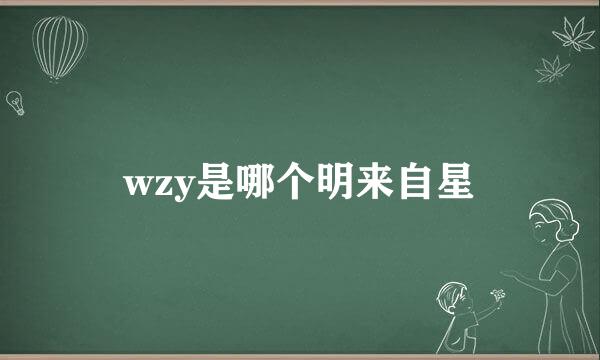 wzy是哪个明来自星