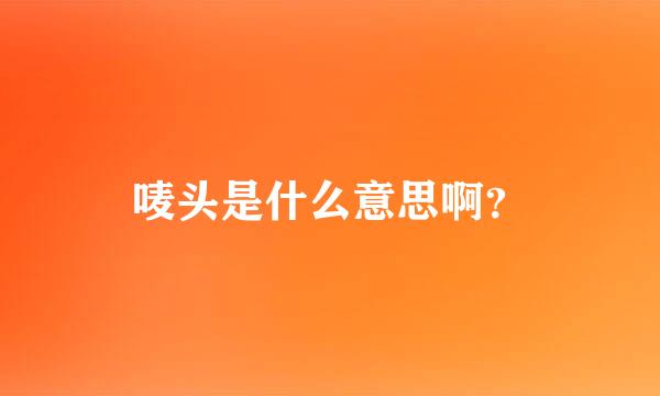 唛头是什么意思啊？