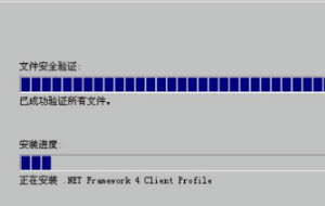 ***.net framework 4.0安装失败