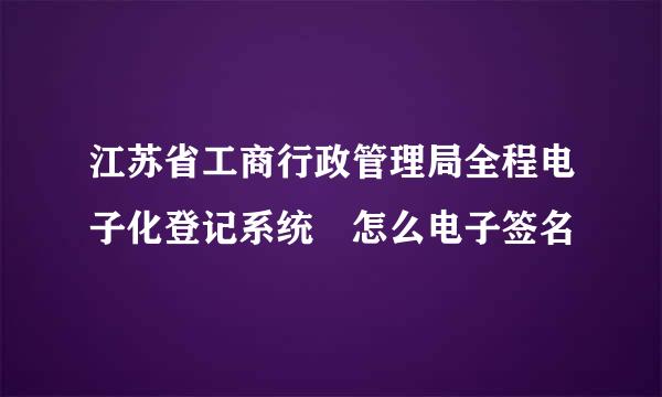 江苏省工商行政管理局全程电子化登记系统 怎么电子签名