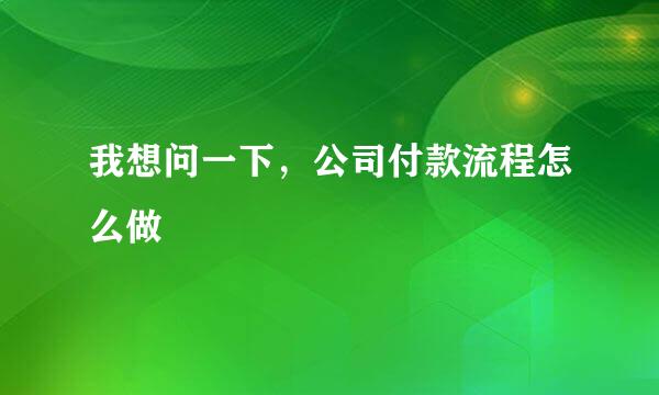 我想问一下，公司付款流程怎么做