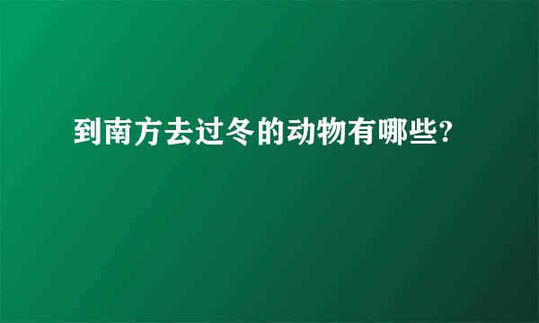 到南方去过冬的动物有哪些?