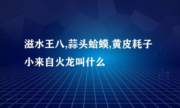 滋水王八,蒜头蛤蟆,黄皮耗子小来自火龙叫什么