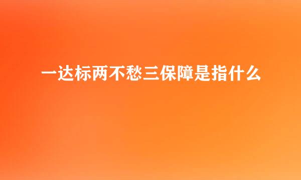 一达标两不愁三保障是指什么