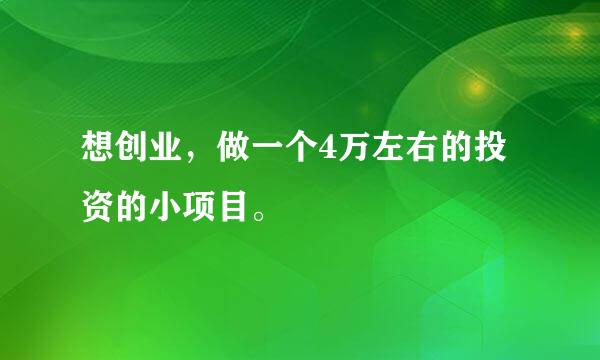 想创业，做一个4万左右的投资的小项目。