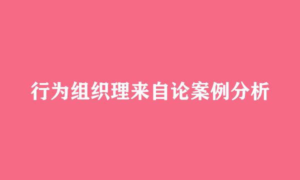 行为组织理来自论案例分析