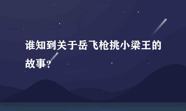 谁知到关于岳飞枪挑小梁王的故事？