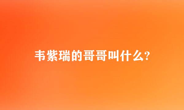 韦紫瑞的哥哥叫什么?