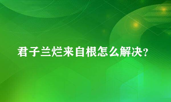 君子兰烂来自根怎么解决？