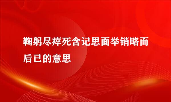 鞠躬尽瘁死含记思面举销略而后已的意思