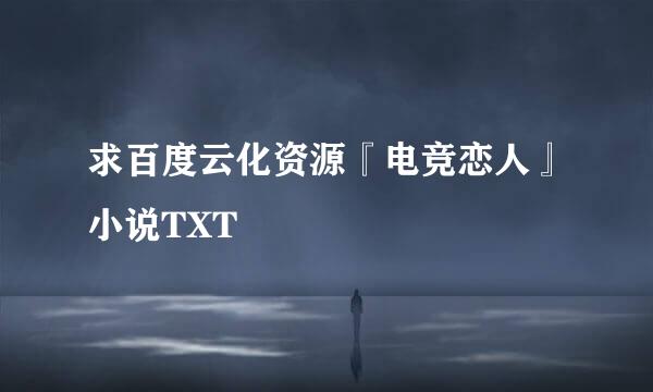 求百度云化资源『电竞恋人』小说TXT