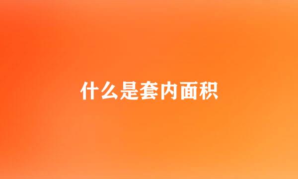 什么是套内面积