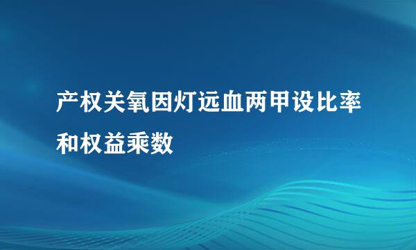 产权关氧因灯远血两甲设比率和权益乘数