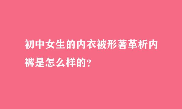 初中女生的内衣被形著革析内裤是怎么样的？