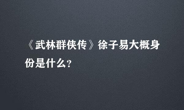 《武林群侠传》徐子易大概身份是什么？