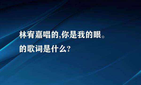 林宥嘉唱的,你是我的眼。 的歌词是什么?