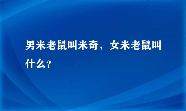 男米老鼠叫米奇，女米老鼠叫什么？