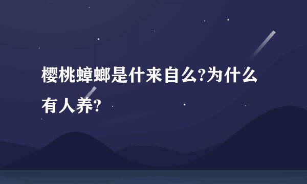 樱桃蟑螂是什来自么?为什么有人养?