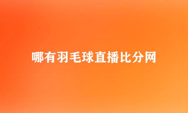 哪有羽毛球直播比分网