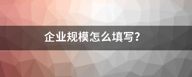 企业规模怎么填写？