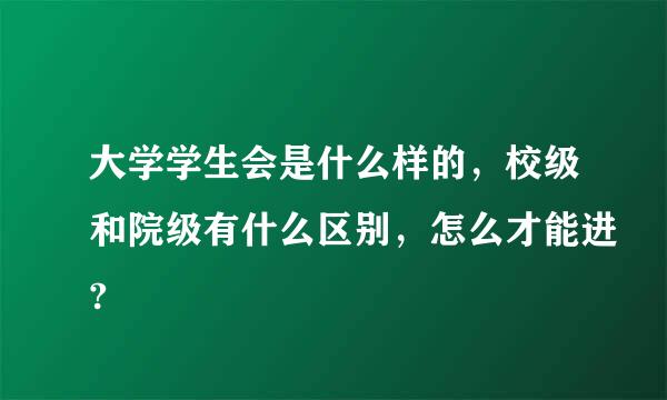 大学学生会是什么样的，校级和院级有什么区别，怎么才能进?