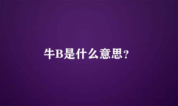 牛B是什么意思？