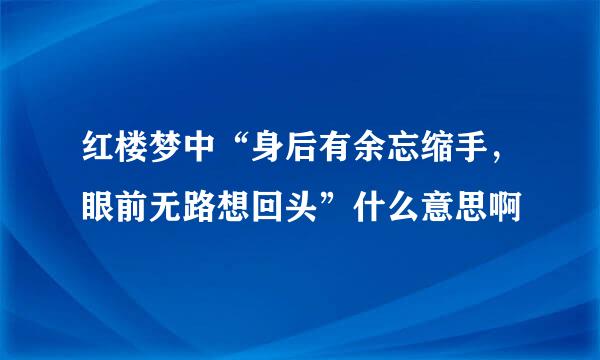 红楼梦中“身后有余忘缩手，眼前无路想回头”什么意思啊