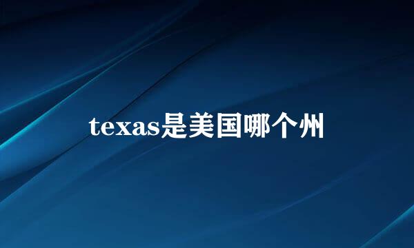 texas是美国哪个州