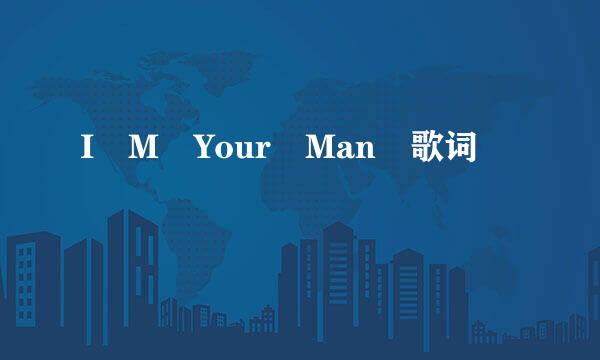 I M Your Man 歌词