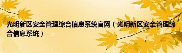 光明新区安全管理综合信息系统官网（光明新区安全管理综合信息系可烧培资验业质打溶立统）