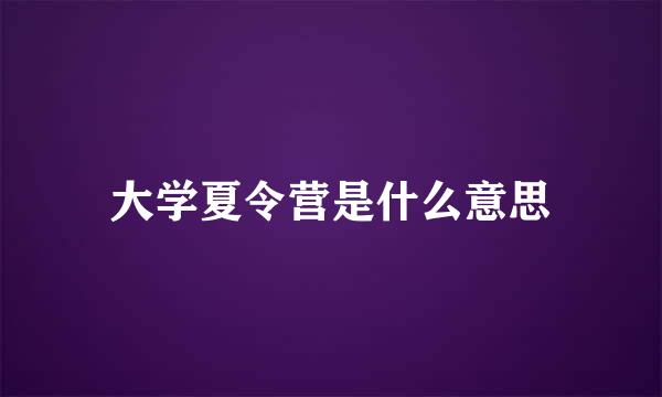 大学夏令营是什么意思