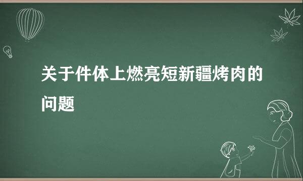 关于件体上燃亮短新疆烤肉的问题