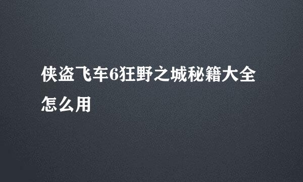 侠盗飞车6狂野之城秘籍大全怎么用