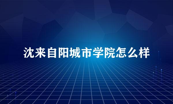 沈来自阳城市学院怎么样