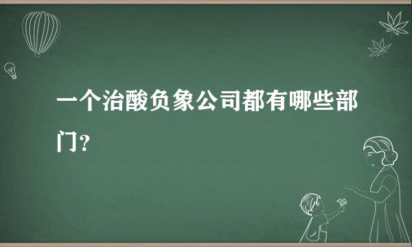 一个治酸负象公司都有哪些部门？